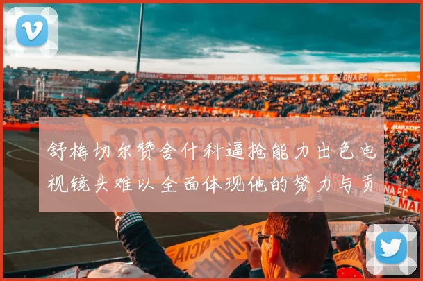 舒梅切尔赞舍什科逼抢能力出色电视镜头难以全面体现他的努力与贡献